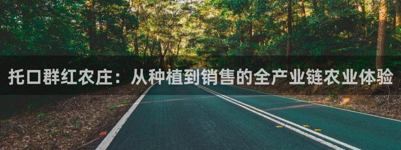 琳琅娱乐代理怎么做的