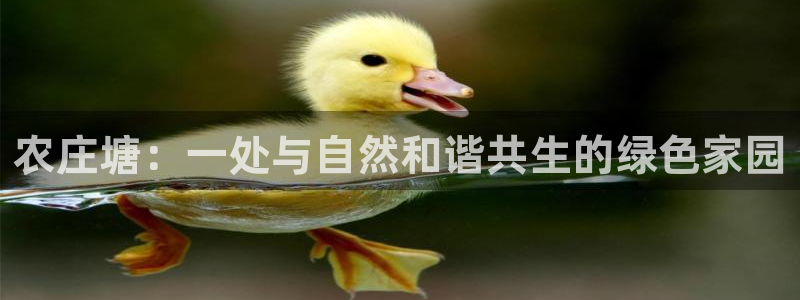 琳琅科技娱乐qq机器人词库