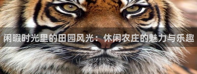 琳琅科技娱乐机器