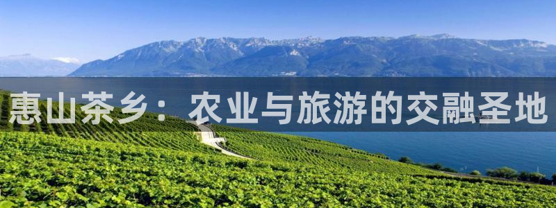 琳琅娱乐代理注册