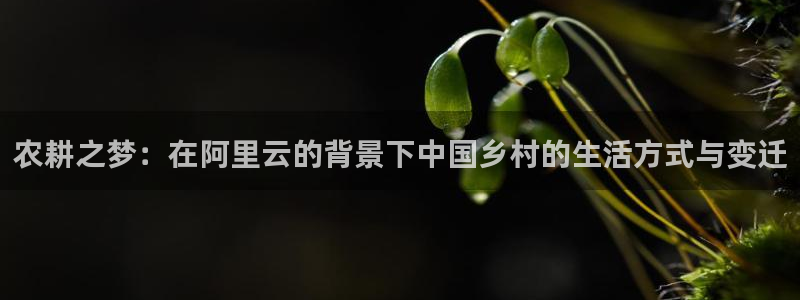 琳琅娱乐在线观看