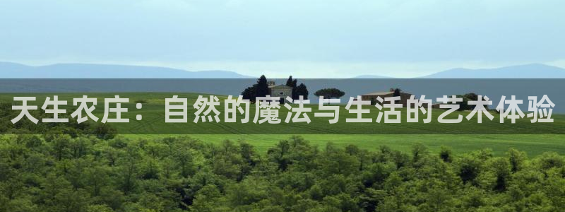 琳琅娱乐机器人