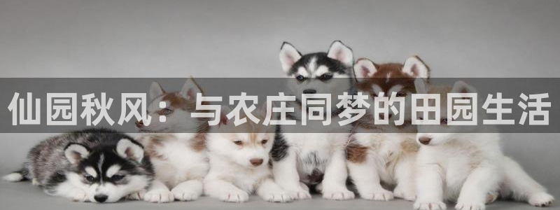 琳琅娱乐场所在哪里