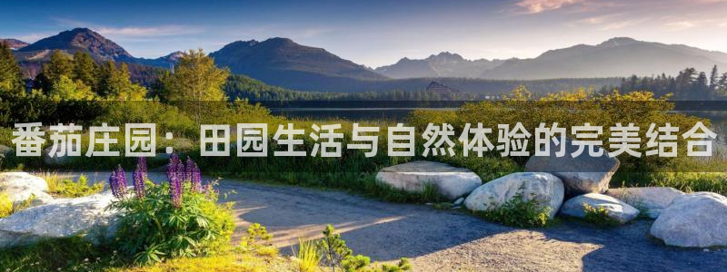 琳琅娱乐主管是谁