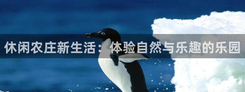 琳琅科技qq娱乐机器人怎么搞