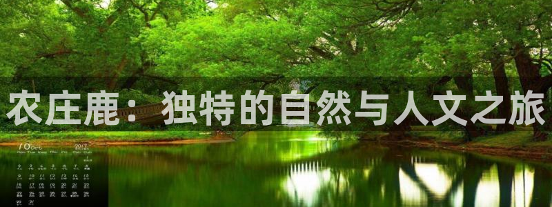 琳琅娱乐放心33300