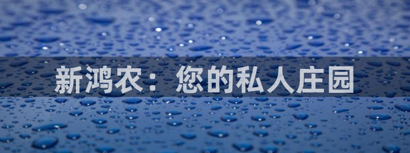 琳琅科技娱乐机器人下载