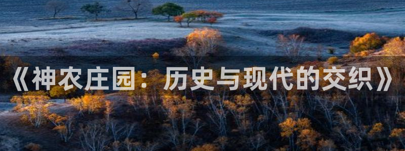 琳琅娱乐领先33300