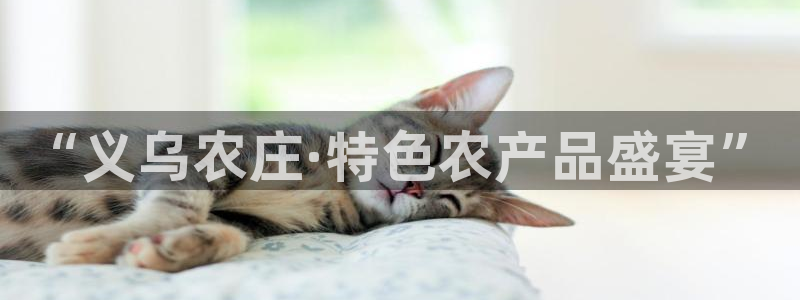 琳琅社区综艺文化娱乐