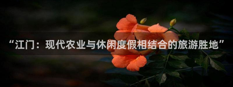 琳琅天上qq飞车娱乐