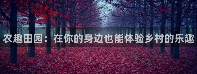 琳琅娱乐怎么样