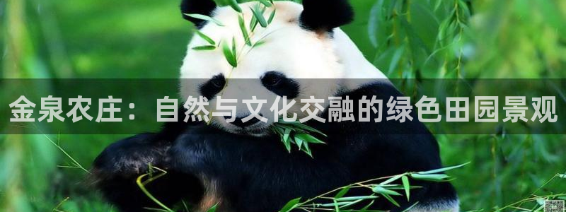 琳琅娱乐 全麦优质