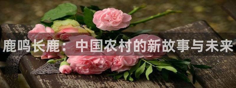 琳琅娱乐注册资金多少