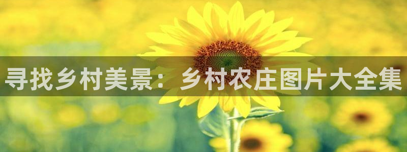 琳琅娱乐领先33300