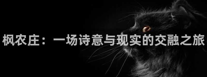 祖龙娱乐官网爱在琳琅