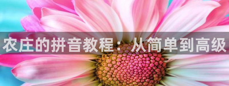 琳琅娱乐代理怎么做