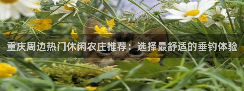 琅琳琅娱乐舍区