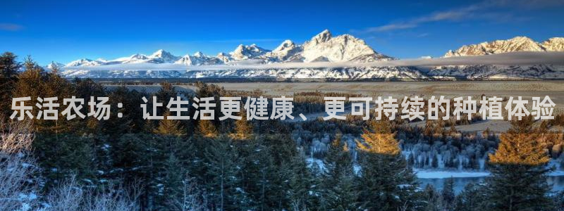 琳琅娱乐工作室