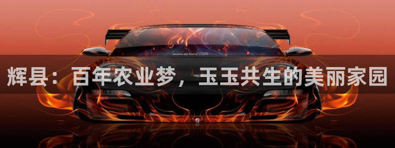 琳琅科技娱乐机器人