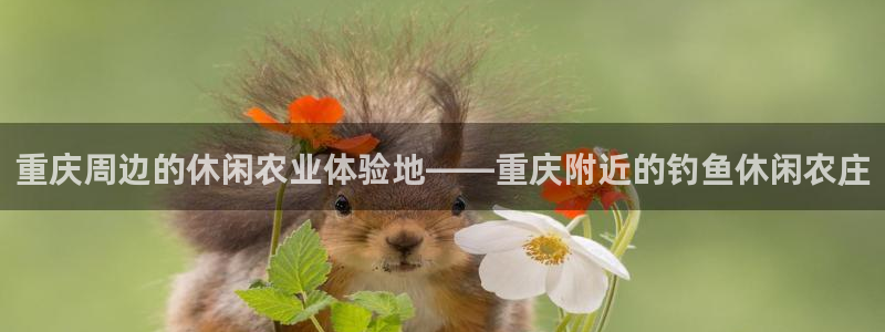 琳琅科技娱乐qq机器人词库