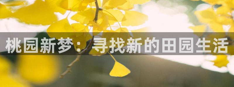 琳琅科技娱乐机器人