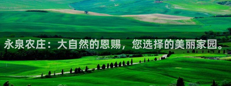 琳琅娱乐代理怎么样