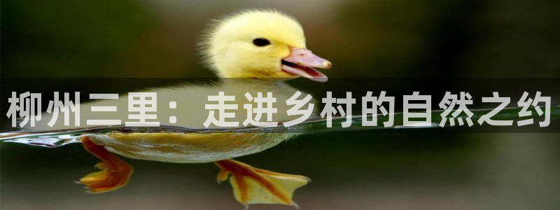 琳琅娱乐平台怎么样知乎