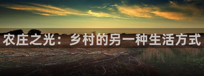 琳琅社区文艺娱乐