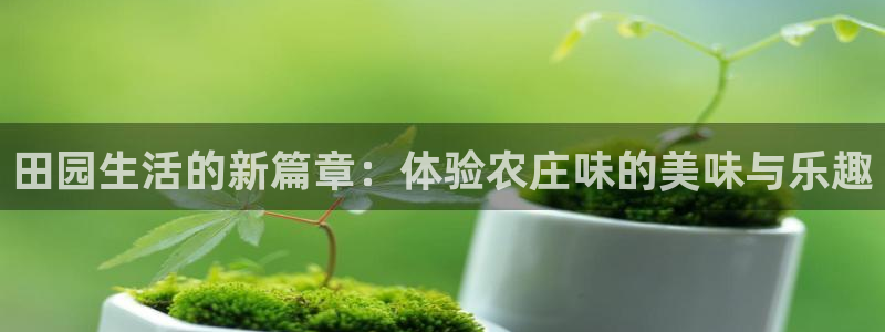 梧州琳琅娱乐城