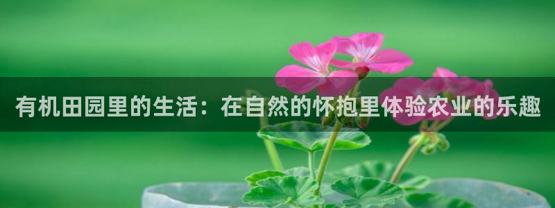 琳琅娱乐场所有哪些