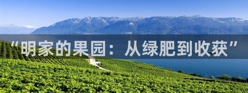 娱乐从琳琅榜开始笔趣阁