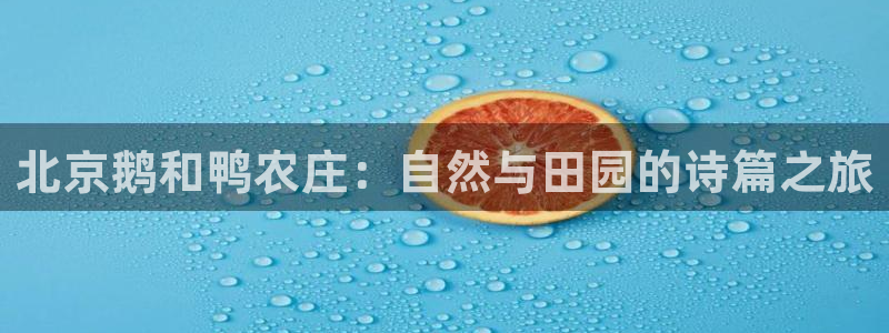 琳琅娱乐在线观看