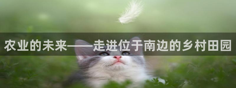 琳琅娱乐注册登录