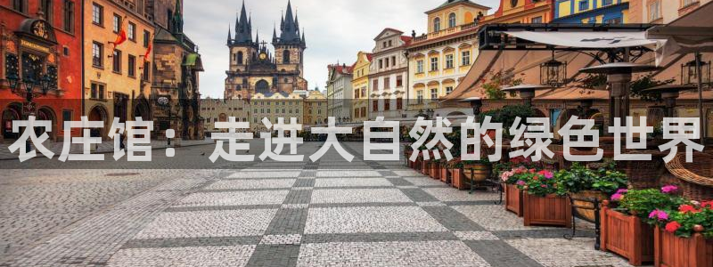 琳琅娱乐工作室招聘条件