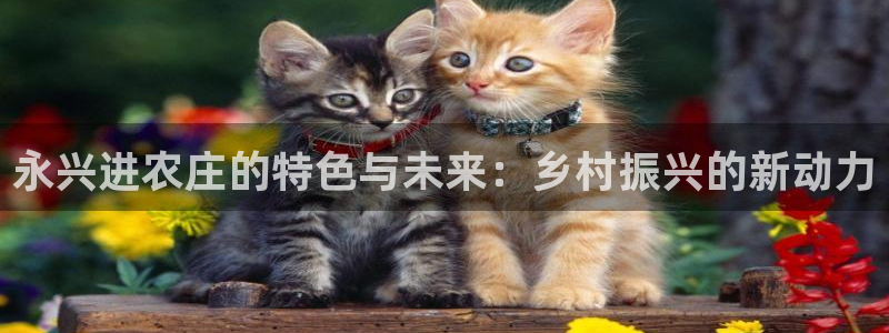 琳琅娱乐 全麦优质