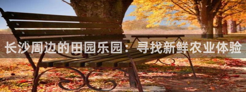 祖龙娱乐官网爱在琳琅