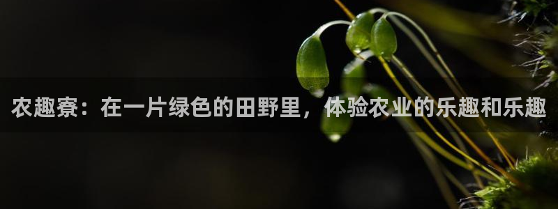 娱乐从琳琅榜开始